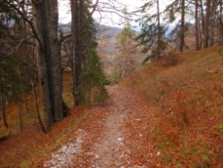 2013-10-26_Schildenstein (386).JPG